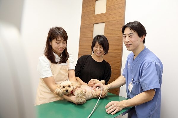 検査の様子