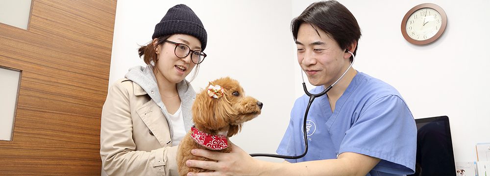 健康診断・セカンドオピニオン
