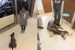 子供によるトレーニング